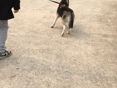 -北京鹫峰国家森林公园