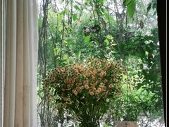 -春暖花开(西溪店)