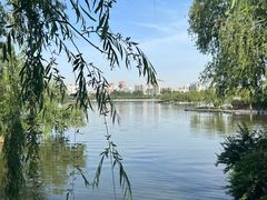 -济南大明湖景区