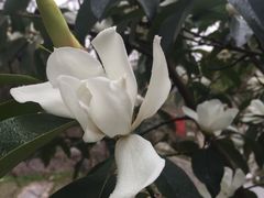 -上海佘山国家森林公园西佘山园