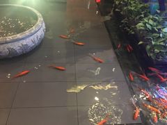 -旺顺阁鱼头泡饼(小红门店)