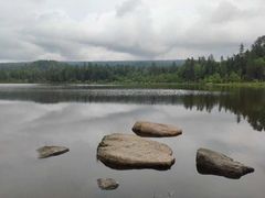 -五营红松林海景区