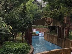 -苏州乐园森林水世界