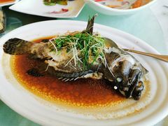 清蒸龙趸-蒲园食堂(中山大学广州校区南校园店)