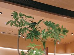 -chuchulab日式短蛋糕(粤海天地店)