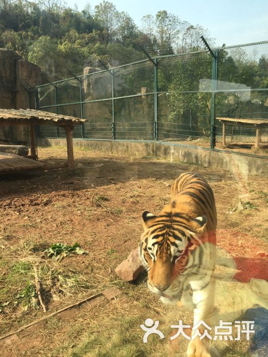 長沙生態動物園圖片 - 第1張