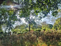 -华南师范大学(广州大学城校区)