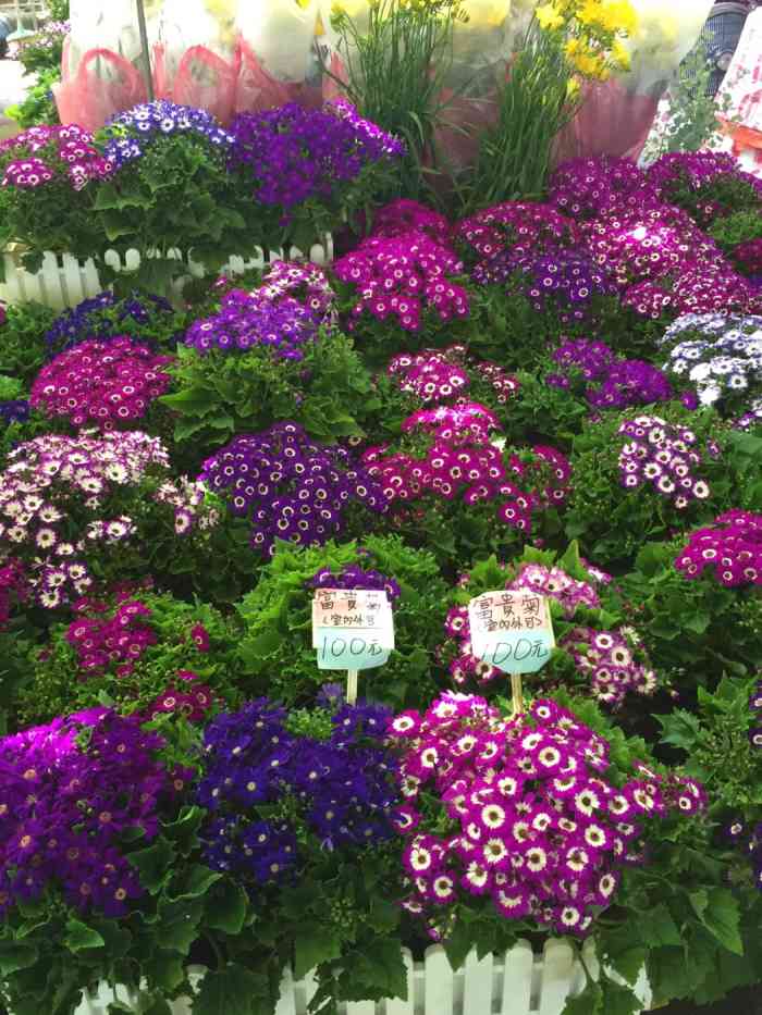 建国假日花市-"台北市建国假日花市,位于仁爱路与信义路的.