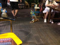 -半坡九号老挝冰咖啡