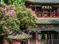 -报恩寺(平武县)