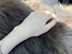 -悠尼宠物·独立低压伊珊娜洗护·美容·寄养(兰谷路店)