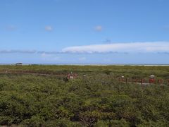 -北海金海湾红树林生态旅游区