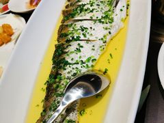 -沪碟·精菜坊(闵行店)