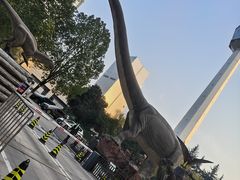 -陕西自然博物馆