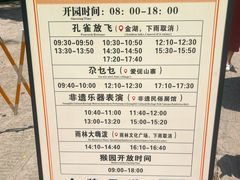 -西双版纳原始森林公园