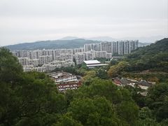 -福道