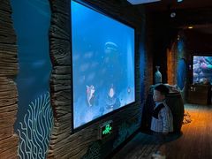 -沈阳海洋探索中心