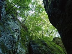 -牛背梁国家森林公园