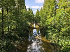 -黄海国家森林公园