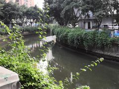 -探窝·竹笙椰子鸡(杨箕店)