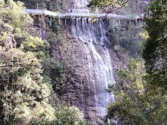 -九龙江国家森林公园