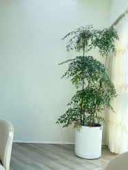 -HEYAN荷妍专业脱毛连锁机构
