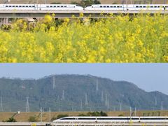 -光明小镇欢乐田园