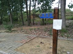 -日照职业技术学院
