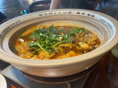 太平湖有机胖头鱼-魏铭鱼头捞饭(晋阳路店)