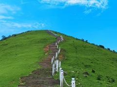 -大姆山草场