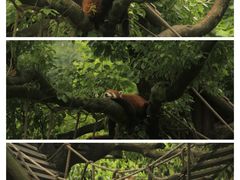 -宁波野生动物园