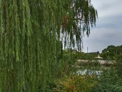 -新江湾城公园