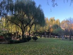 -唐城墙遗址公园