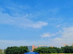 -光明小镇欢乐田园