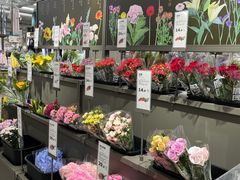 -鹿岛会员店(熙地港店)