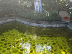 -杭州第一世界大酒店·云曼温泉