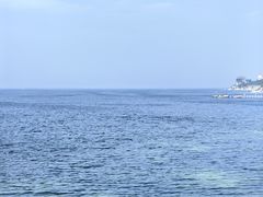 -海岛日记(养马岛店)