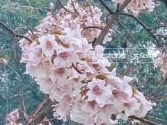 -红星桥(地铁站)