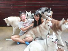 -TrueLove @ Neverland (Husky Cafe)