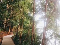 -麦里芝蓄水池