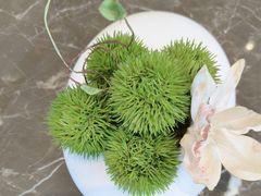 -吕氏焗小鲜•海鲜青岛菜(总店)