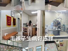 -爱妮康宠物医院·干细胞免疫细胞·肿瘤·心脏(张江店)