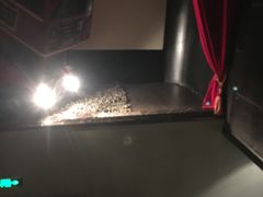 -星辰9号幻影会