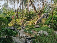 -东莞植物园