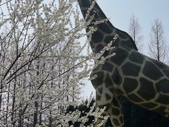 -棒棰岛宾馆景区