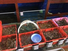 水产区-鹏城人家海鲜酒家·23年老字号(较场尾店)
