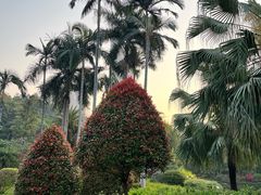 -点都德(广州白云山景区南门店)