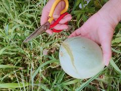 -呼吸森林·生态农庄农家乐私房菜