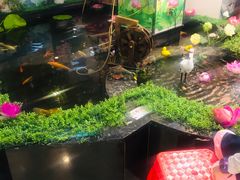 -名都晓荷塘主题火锅(海城街店)