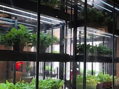 -番食园鲜食火锅(高新店)